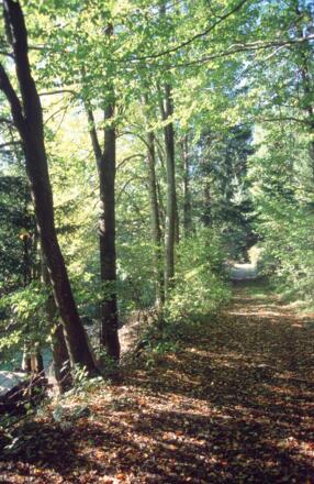 Seufzerallee