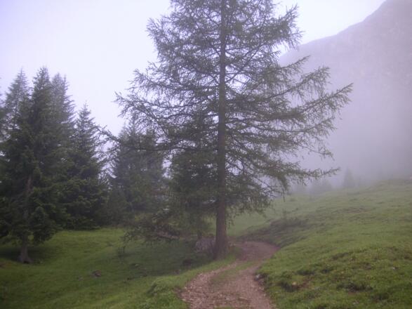 Auf dem Weg zur Steinseehütte