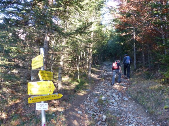 Immer wieder weisen Wegschilder in Richtung Ackerlhütte.