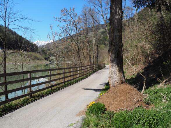 Kurz vor der Pontlatzbrücke