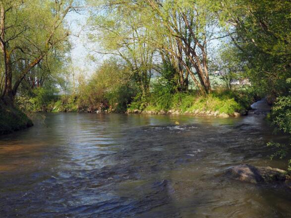 Beim Reittümpel an der Vöckla