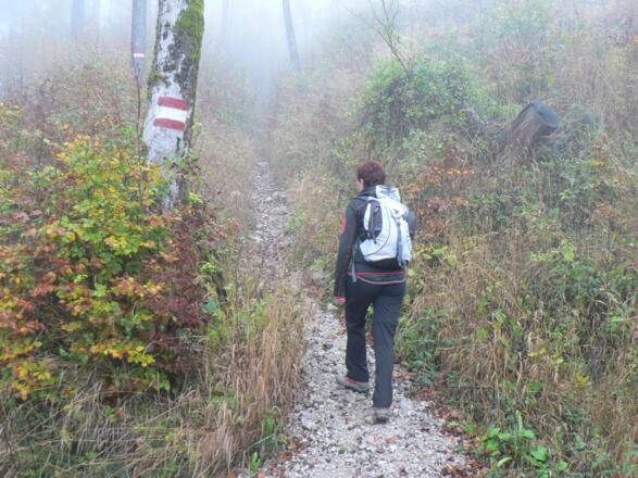 Der Weg ist gut markiert