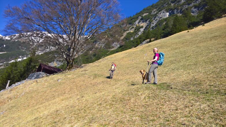 Thaurer Mäher - Eggerhütte mit Naturdenkmal