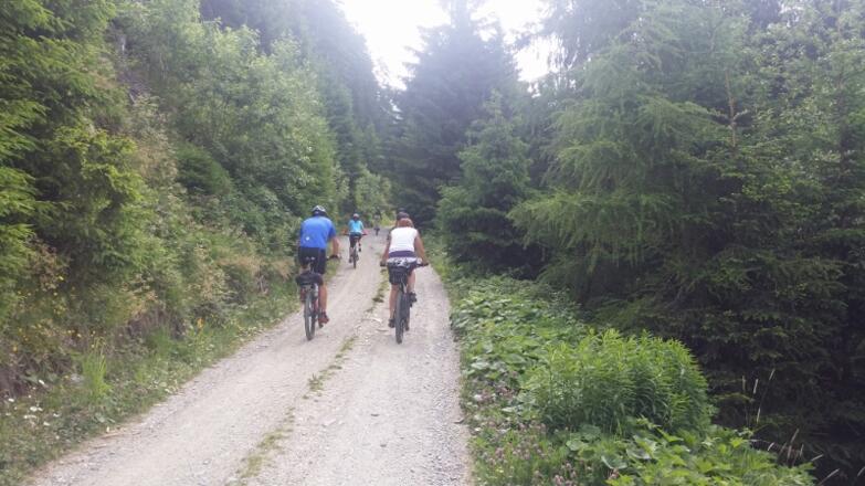 Immer auf guter Forststraße beginnt es etwas steil.