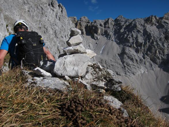 Keine Farbmarkierungen, dafür Steinmännchen - offensichtlich auch für Gämsen verbindliche Wegweiser.