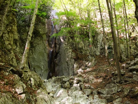 Der schattige Hohenzoller Wasserfall lädt an heißen Tagen zum Verweilen ein.