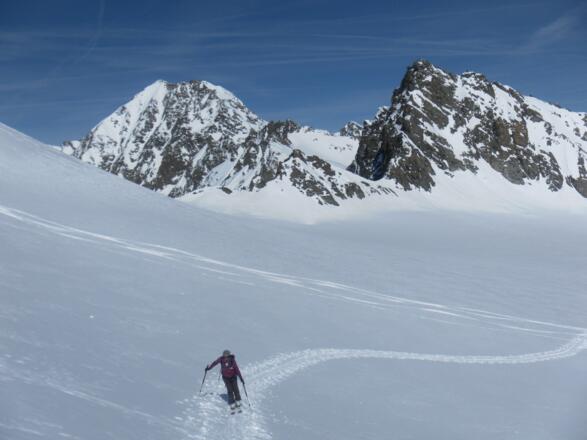 Seekogel hinter dem Nördlichen Löcherferner