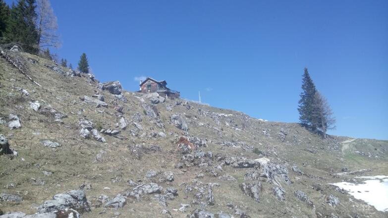 Hinauf zur Bayreuther Hütte