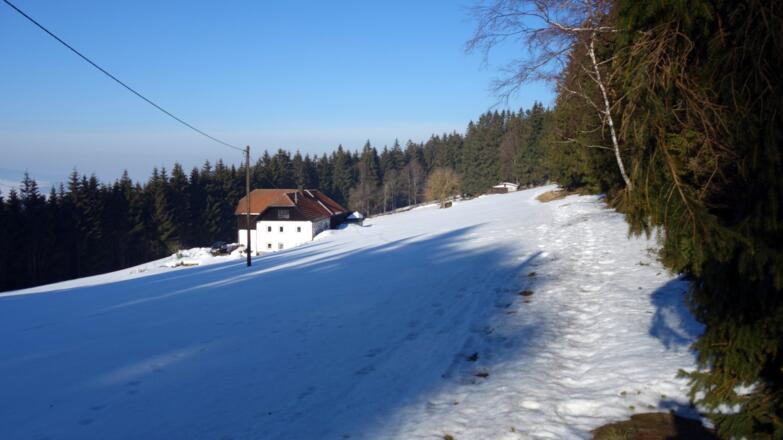 Querung am Waldrand ~830m