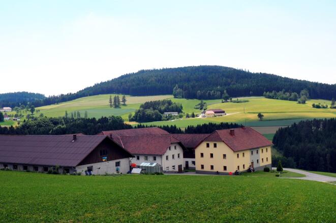Blick zum Buchberg vom Güterweg Grensberg