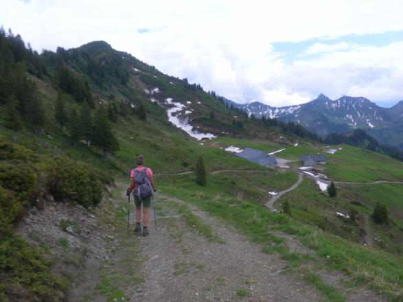 Gävisalpe unter dem Gerenfalben