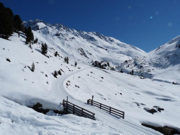 Wenige Minuten vor der Schweinfurter Hütte, zweigen wir linkerhand ab und steigen über den Südosthang zur Finstertalalm auf.