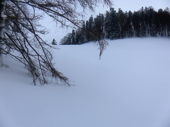 Sattel westlich des Gipfels