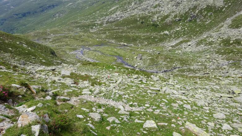 ... markiertem Steig zu den Seen.