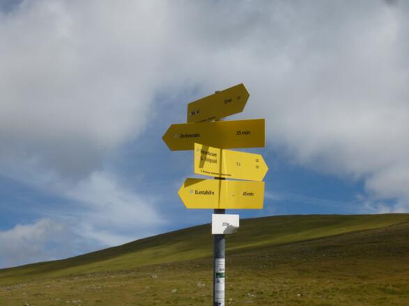 Der Wegweiser zeigt uns den Weiterweg zur Eisentalhöhe