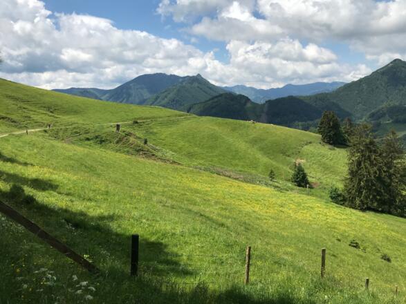 Wunderschöne Wiesenflächen beim Abstieg
