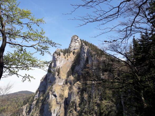 Katzenstein beim Abstieg nach der Hohen Scharte