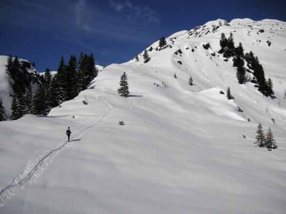 Rücken zur Gressensteinalm