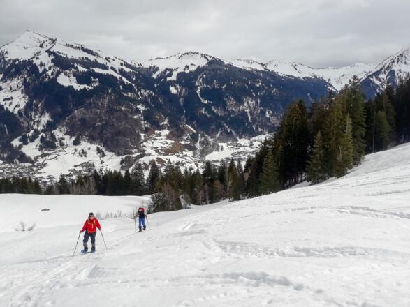 Über Waldschneisen hinauf