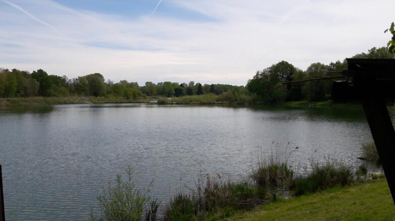 Badesee Greiter an der Donau