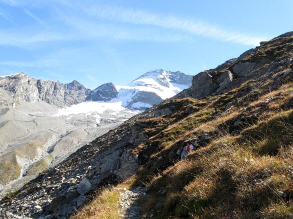 Schön angelegter Steig, immer mit Panoramablick auf den Olperer.