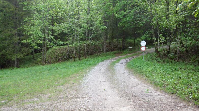 940m Steyrsteg, Forststraße zur Weingartalm