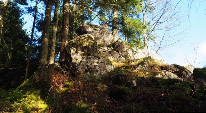 Felskanzel ~1060m