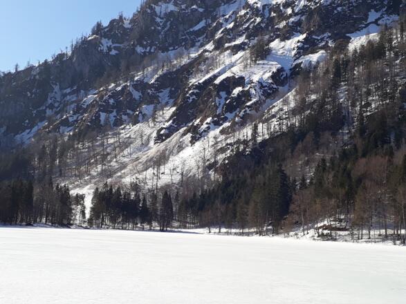 Lawinenkegel auf der Ostseite des Traunsteins