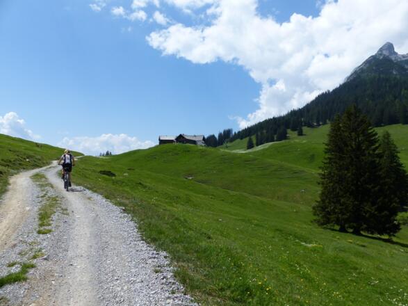 Nur mehr wenige Meter sind es bis zur Walderalm.