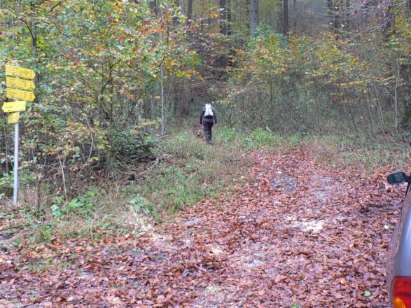 Vom Parkplatz führt der Wanderweg in den Wald