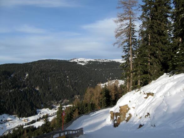 Abfahrt in der Abendsonne über die Talabfahrt nach Ochsengarten. Auf der gegenüberliegenden Seite die Feldringer Böden und das Faltegartenkögele.