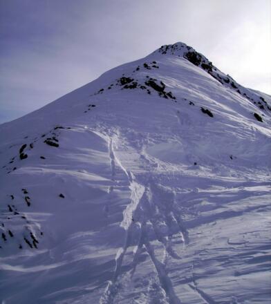 Blick zum Hohen Haus