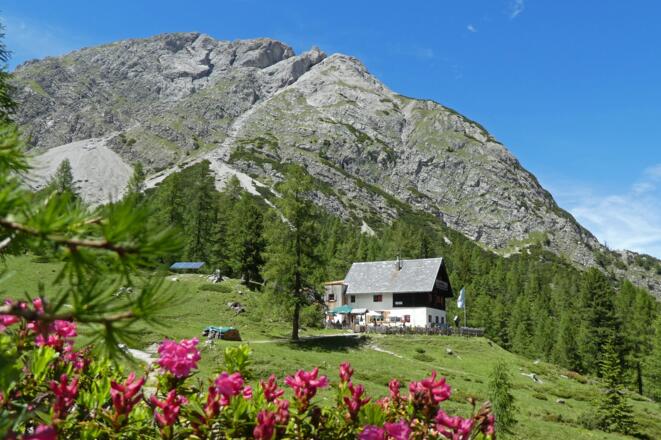 Die Kerschbaumeralm