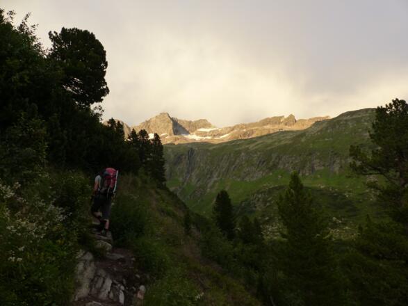 Die hohen Berge der Zillertaler Alpen tauchen ins Abendlicht ein.