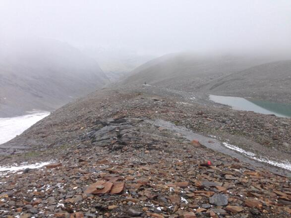 weglos, momentan stellenweise noch recht spärlich markiert, talauswärts Richtung Langtalereck Hütte bzw. Eiskögele