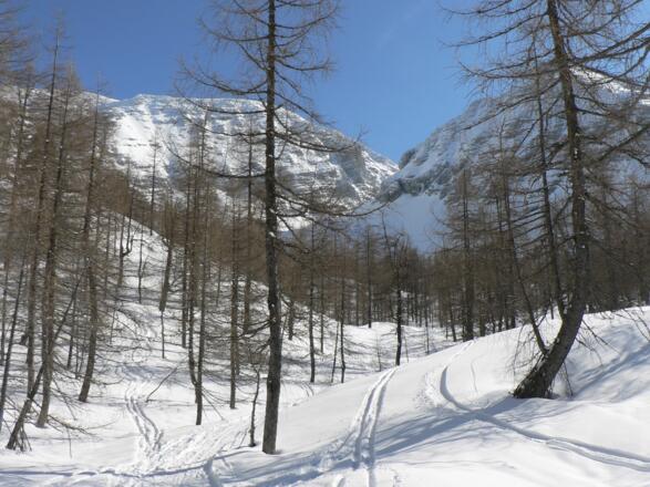 Blick hinauf ins Loigistal, links die Wände des Warschenecks, rechts des Torsteins