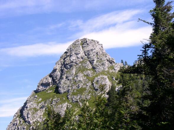 Kleiner Schoberstein im Blick