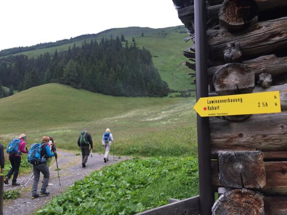 Unmittelbar nach dem Ghf Pfafflar zweigt ein bez. Fahrweg rechts ab