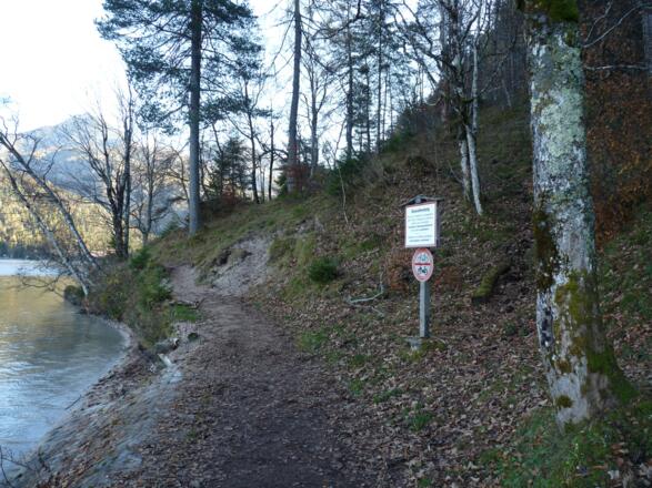 Der Beginn des Gaisalmsteiges.