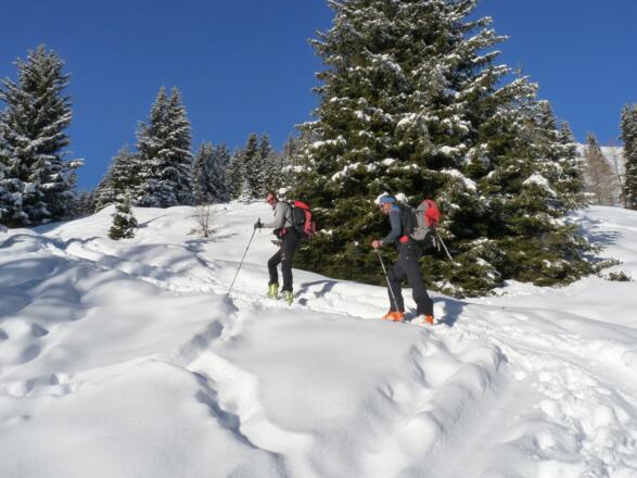 Über schöne Waldlichtungen geht es nun etwas steiler bergan.