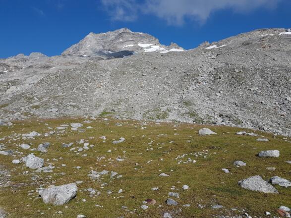 Blick auf Olperer und Südostgrat