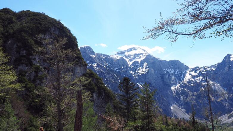 Rotgschirr vom Hausberg 1246m