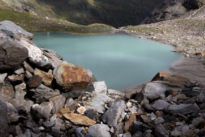 Simonysee