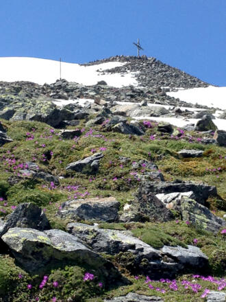 Blick zum Glungezer Gipfelkreuz