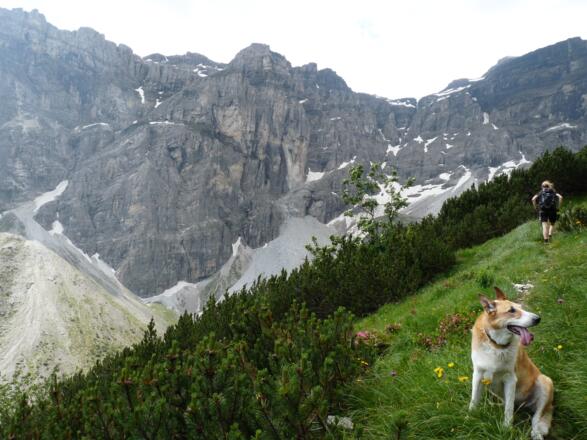 Eingerahmt von einer grandiosen Felslandschaft geht es hinauf zur Inneren Wildgrube.