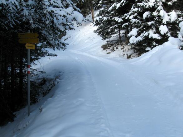 Ein kurzes Stück benützt man die Rodelbahn, bevor man wieder....