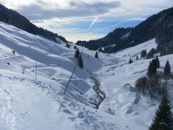 Bachquerung vor der Burgeralm