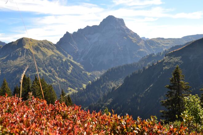 Großer Widderstein im Herbst