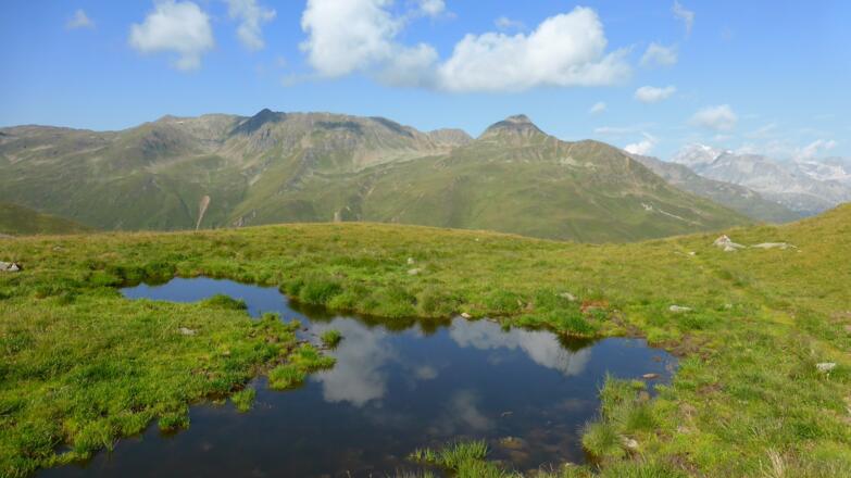 Blick zum Kahorn und rechts im Hintergrund der Hochgall