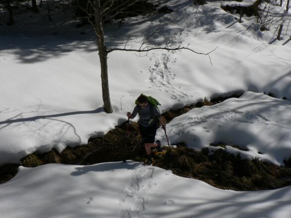 ... überqueren einige Bächlein ...